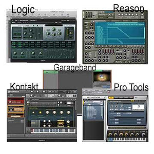 drum sampler, Reason NNXT, Pro Tools Structure, Kontakt, Logic ESX24, Garageband