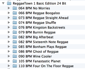Reggae Drum Loops Bundle -- ReggaeTown Volumes 1 and 2